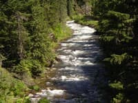 Marble Creek Boogie Water