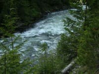 Tumbledown