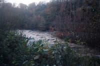 Suicide Panoramic View