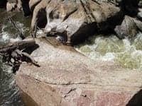 Martin Gulch Falls top