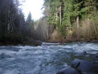 North Fork Sol Duc