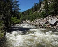 Lower South Boulder Creek typical nature