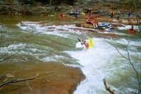 Scout rapid surf