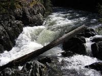 Treasure - The Plank (Portage)
