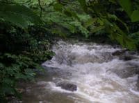 Typical Rapid on Big Clear Creek
