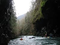 Lower Dosewallips Gorge