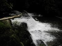 Rapids after the bridge