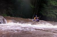 One of Many Laurel Fork Ledges