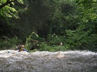 A Typical Laurel Fork Strainer