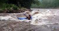 Surfing at the Laurel Fork Confluence