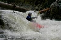 Log Across River #2