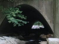 What's in the tunnel?