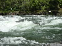 Riverboarding Carter Falls 1