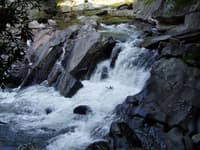 Sinks wood - low water