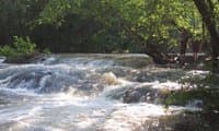 Ocmulgee River at the Fall Line
