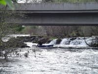 Bridge Rapids