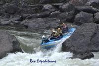 Gore Rapid Drop In