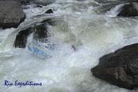 Swamped again!!