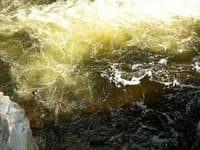 Steel in Eddy below last Rapid