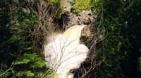 One of the many drops in the Lower Cascades