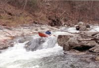 Bambi by Canoe