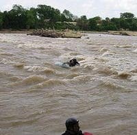Hidalgo Wave
