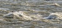 Triple Waves