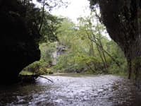 Upstream Under the Arch
