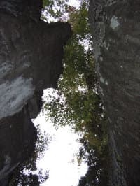 Looking up from the eddy
