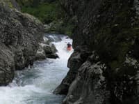 Rapid