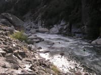 Rapid