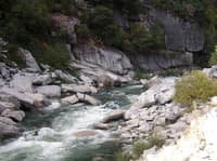 Rapid Above the Rest Area