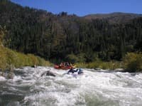 Rapid
