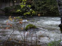 Gauge Rock