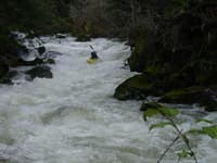 Paul runs 3rd rapid