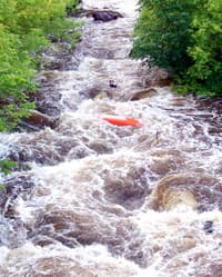 Long Swim