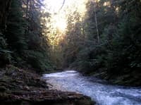 Lyre River