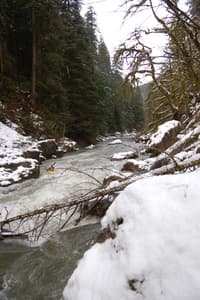 Upper Sultan Rapid