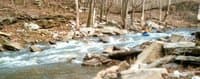 Parkers Mill Rapid run