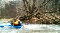 Surfing with Beaver