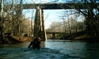 Looking upstream at the putin