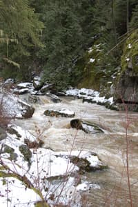 Looking upstream at the lead in to Coleman Falls