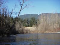 View of Mt. Si from the river