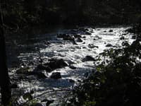 The Weir