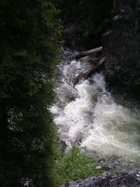 Brushy Fk chasm from cliffside