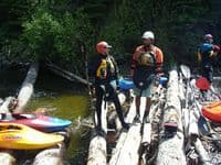 Logjam Chat