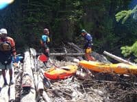 Laffs on the logs