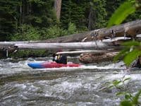 Log Limbo