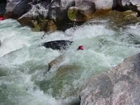 Kevin swimming chute