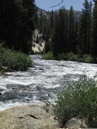 Mono Creek: near middle